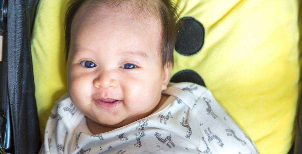 Bebe